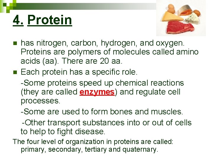 4. Protein n n has nitrogen, carbon, hydrogen, and oxygen. Proteins are polymers of