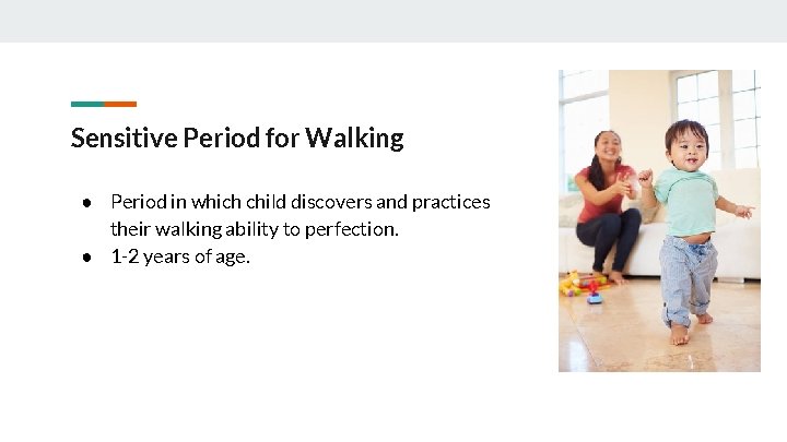 Sensitive Period for Walking ● Period in which child discovers and practices their walking