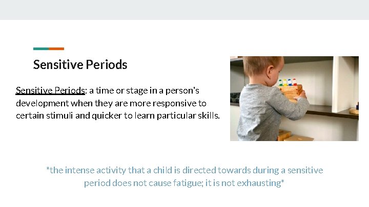 Sensitive Periods: a time or stage in a person's development when they are more