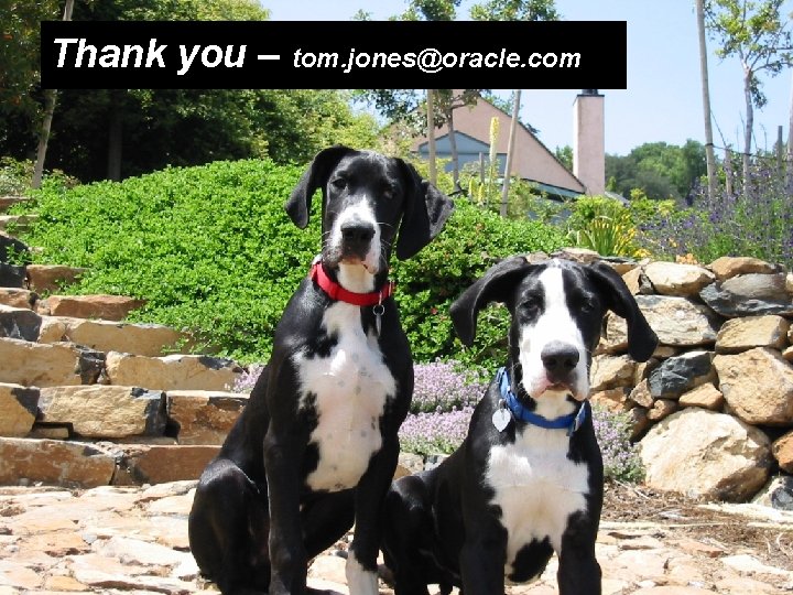 Thank you – tom. jones@oracle. com 