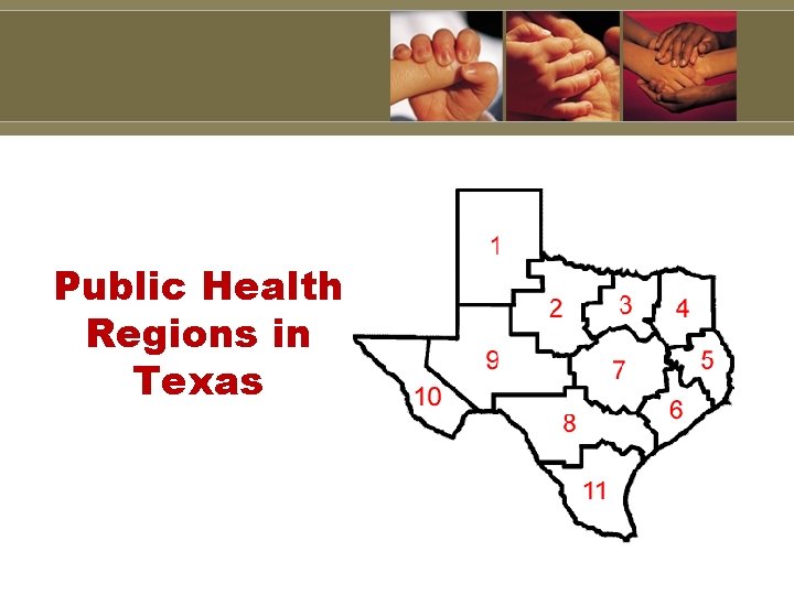 Public Health Regions in Texas 