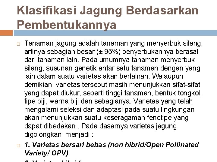 Klasifikasi Jagung Berdasarkan Pembentukannya Tanaman jagung adalah tanaman yang menyerbuk silang, artinya sebagian besar