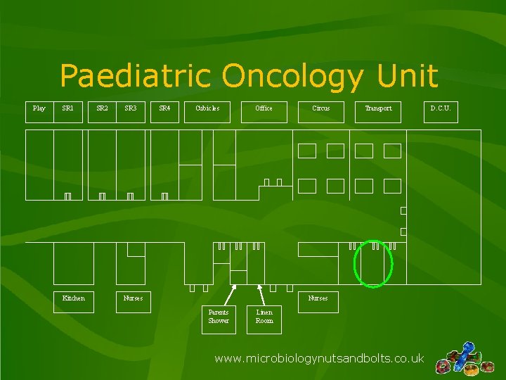 Paediatric Oncology Unit Play SR 1 Kitchen SR 2 SR 3 SR 4 Cubicles