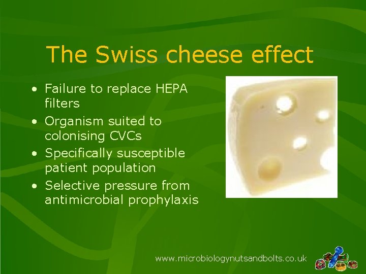 The Swiss cheese effect • Failure to replace HEPA filters • Organism suited to