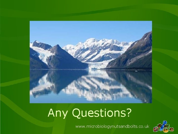 Any Questions? www. microbiologynutsandbolts. co. uk 