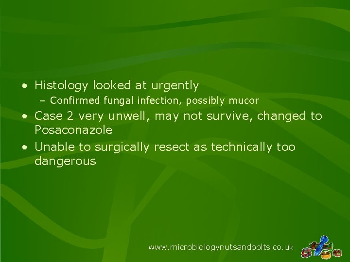  • Histology looked at urgently – Confirmed fungal infection, possibly mucor • Case