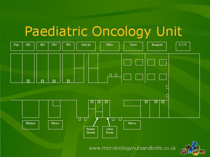 Paediatric Oncology Unit Play SR 1 Kitchen SR 2 SR 3 SR 4 Cubicles