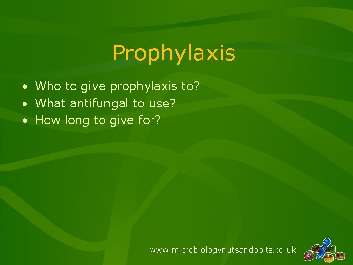 Prophylaxis • Who to give prophylaxis to? • What antifungal to use? • How