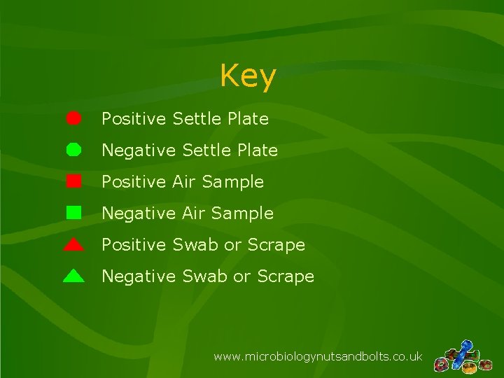 Key Positive Settle Plate Negative Settle Plate Positive Air Sample Negative Air Sample Positive