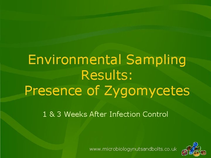 Environmental Sampling Results: Presence of Zygomycetes 1 & 3 Weeks After Infection Control www.