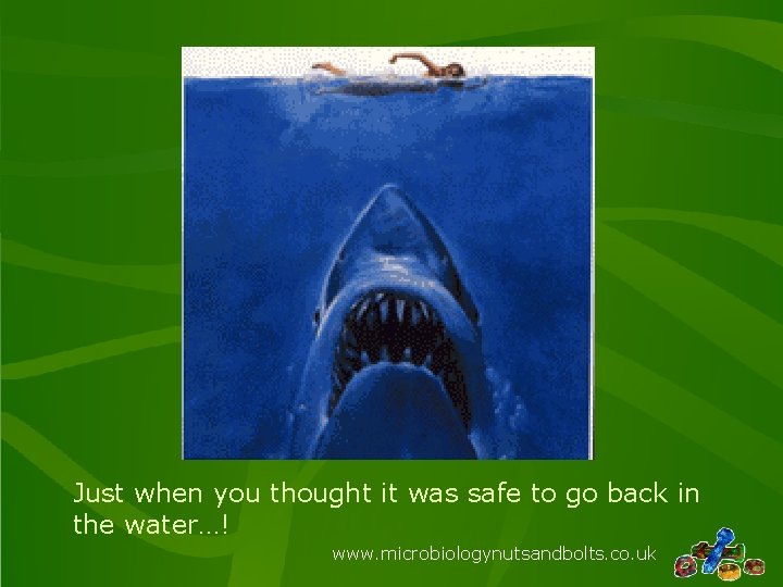 Just when you thought it was safe to go back in the water…! www.