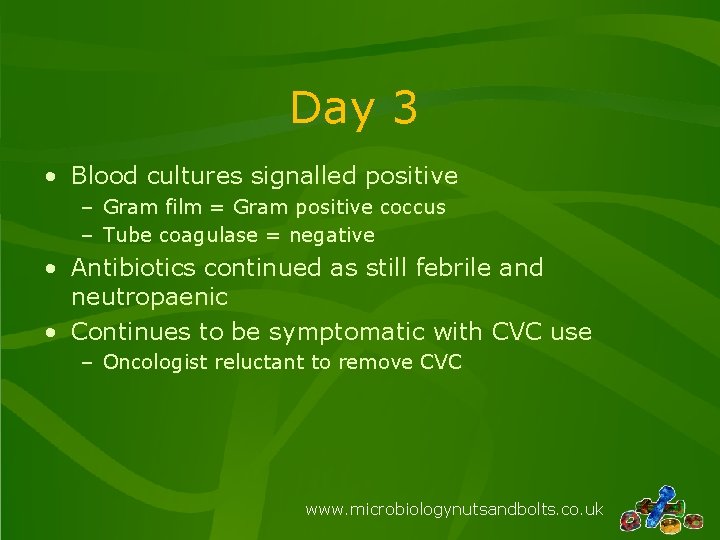 Day 3 • Blood cultures signalled positive – Gram film = Gram positive coccus