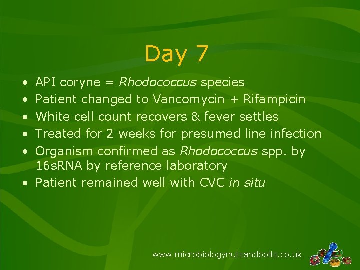 Day 7 • • • API coryne = Rhodococcus species Patient changed to Vancomycin