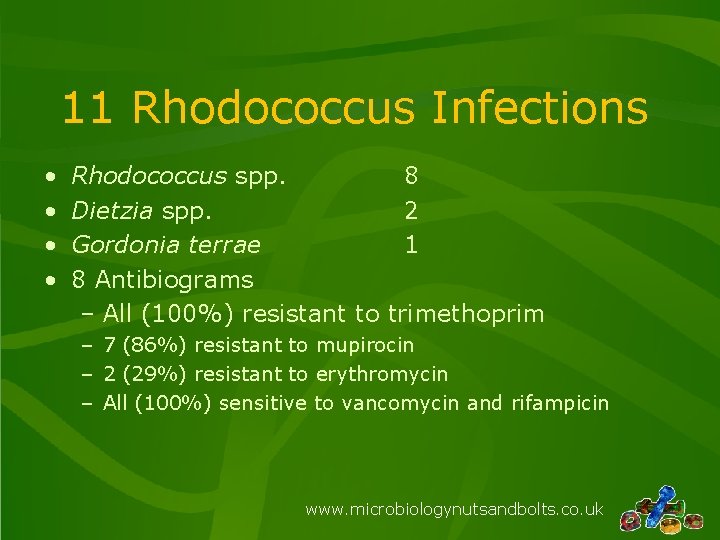 11 Rhodococcus Infections • • Rhodococcus spp. 8 Dietzia spp. 2 Gordonia terrae 1