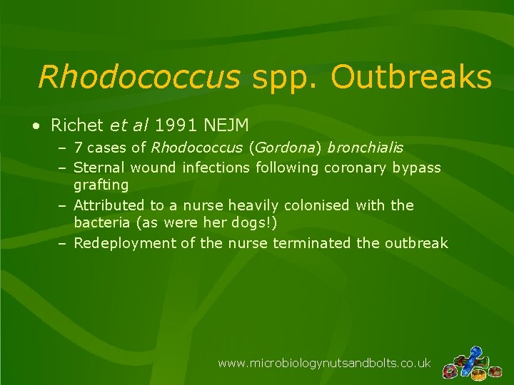 Rhodococcus spp. Outbreaks • Richet et al 1991 NEJM – 7 cases of Rhodococcus
