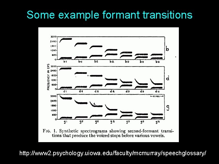 Some example formant transitions http: //www 2. psychology. uiowa. edu/faculty/mcmurray/speechglossary/ 16 