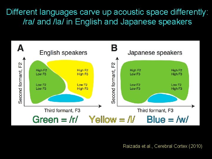 Different languages carve up acoustic space differently: /ra/ and /la/ in English and Japanese