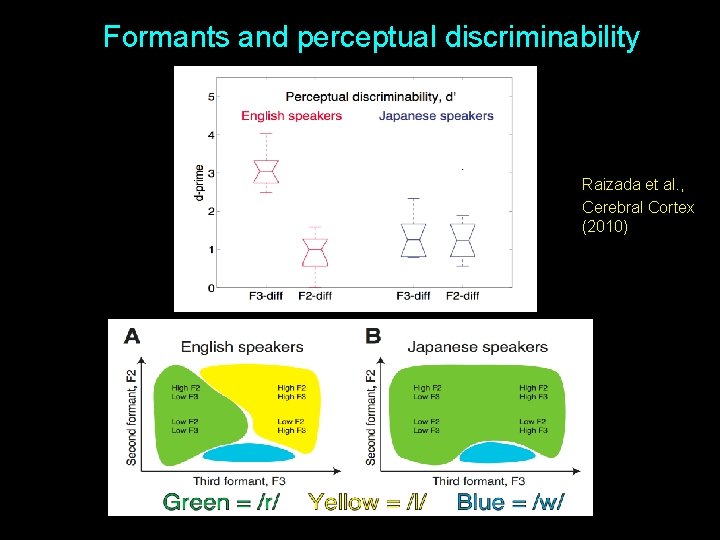 Formants and perceptual discriminability Raizada et al. , Cerebral Cortex (2010) 