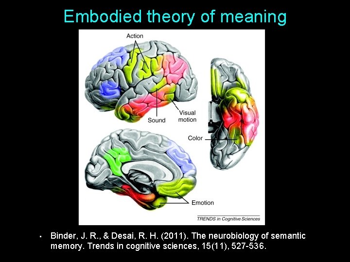 Embodied theory of meaning • Binder, J. R. , & Desai, R. H. (2011).