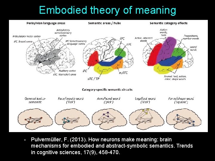 Embodied theory of meaning • Pulvermüller, F. (2013). How neurons make meaning: brain mechanisms