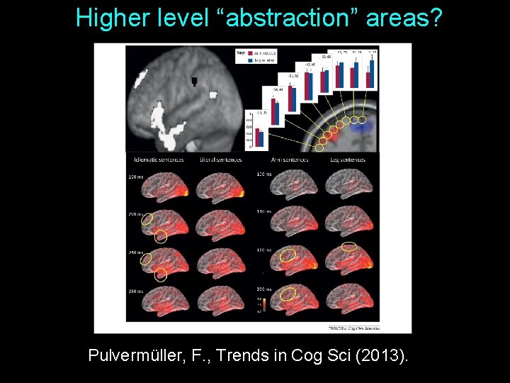 Higher level “abstraction” areas? Pulvermüller, F. , Trends in Cog Sci (2013). 39 