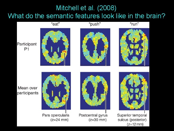 Mitchell et al. (2008) What do the semantic features look like in the brain?