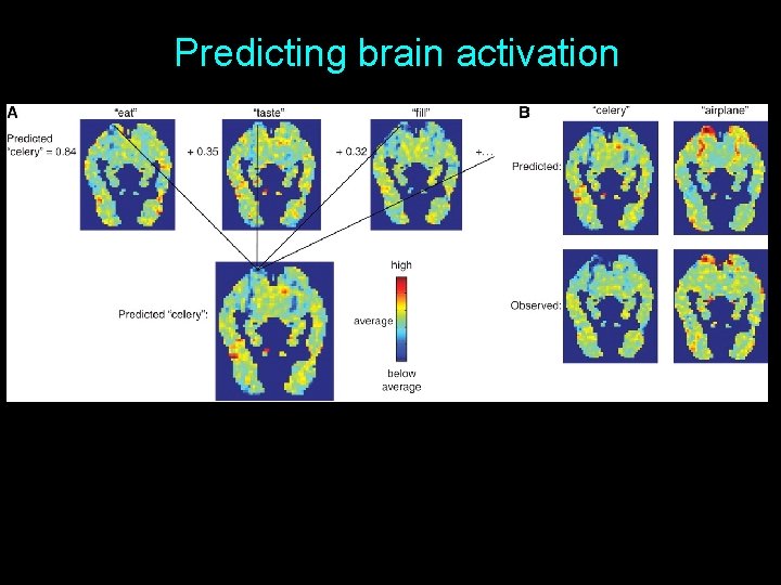 Predicting brain activation 52 