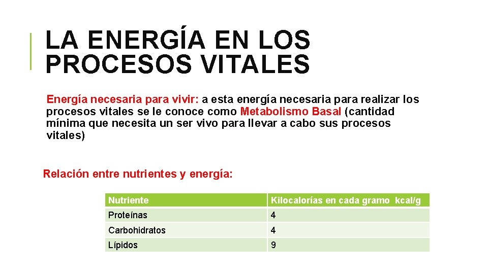 LA ENERGÍA EN LOS PROCESOS VITALES Energía necesaria para vivir: a esta energía necesaria