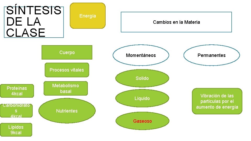 SÍNTESIS DE LA CLASE Energía Cuerpo Cambios en la Materia Momentáneos Permanentes Procesos vitales