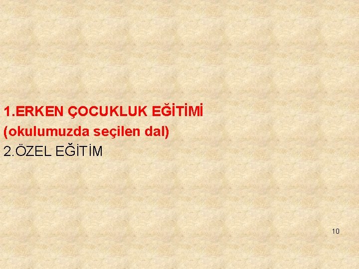 1. ERKEN ÇOCUKLUK EĞİTİMİ (okulumuzda seçilen dal) 2. ÖZEL EĞİTİM 10 