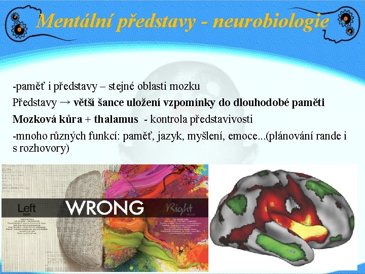 Mentální představy - neurobiologie -paměť i představy – stejné oblasti mozku Představy → větší