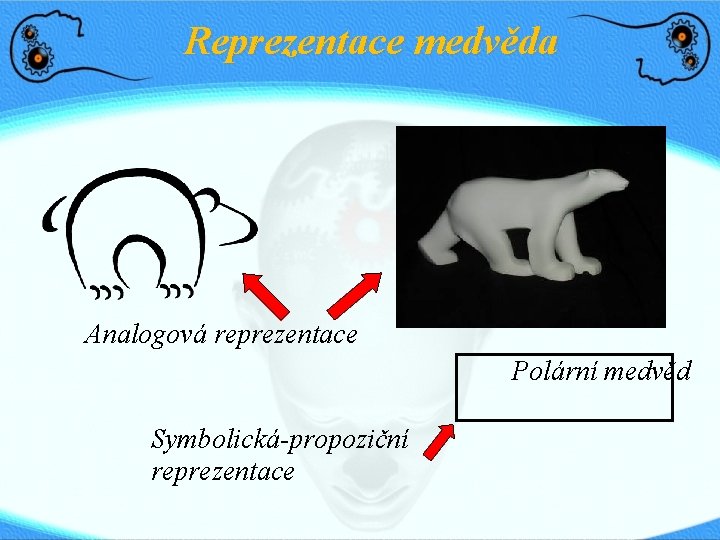 Reprezentace medvěda Analogová reprezentace Polární medvěd Symbolická-propoziční reprezentace 