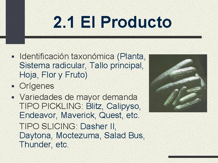 2. 1 El Producto § Identificación taxonómica (Planta, Sistema radicular, Tallo principal, Hoja, Flor