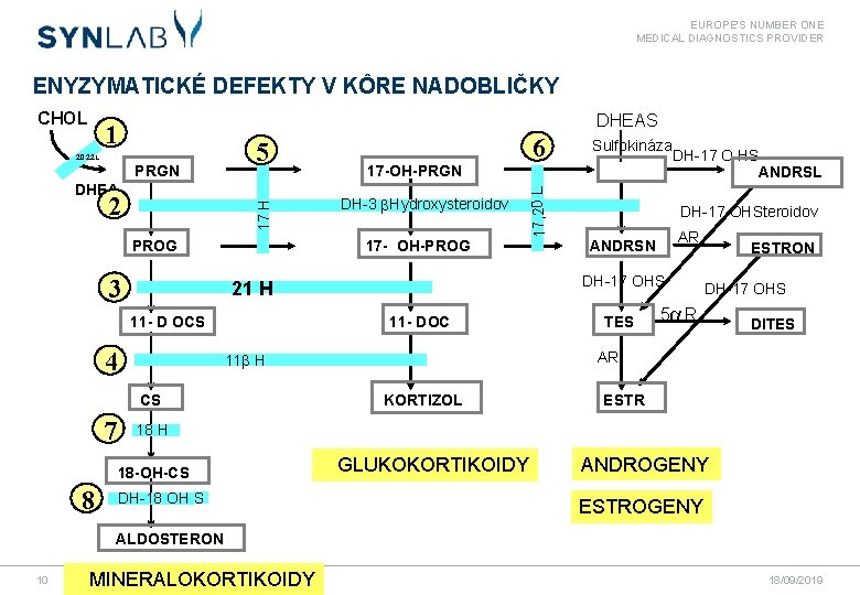 EUROPE'S NUMBER ONE MEDICAL DIAGNOSTICS PROVIDER ENYZYMATICKÉ DEFEKTY V KÔRE NADOBLIČKY DHEAS 1 5