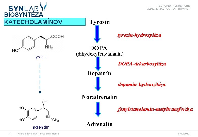 EUROPE'S NUMBER ONE MEDICAL DIAGNOSTICS PROVIDER BIOSYNTÉZA KATECHOLAMÍNOV Tyrozín tyrozín-hydroxyláza DOPA tyrozín (dihydoxyfenylalanín) DOPA-dekarboxyláza