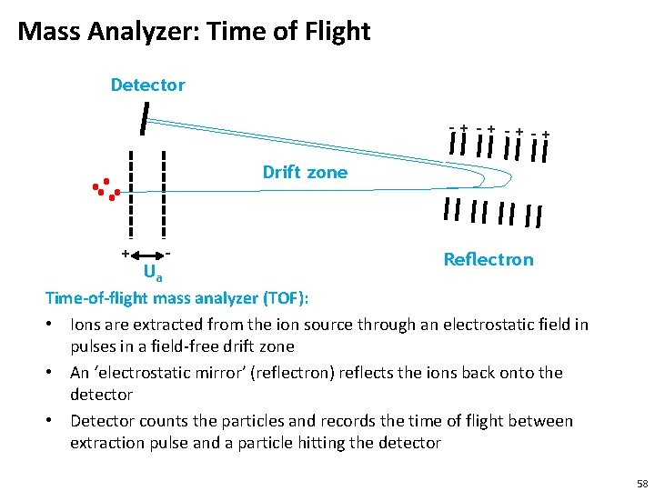 Mass Analyzer: Time of Flight Detector -+ -+ -+-+ Drift zone + - Reflectron