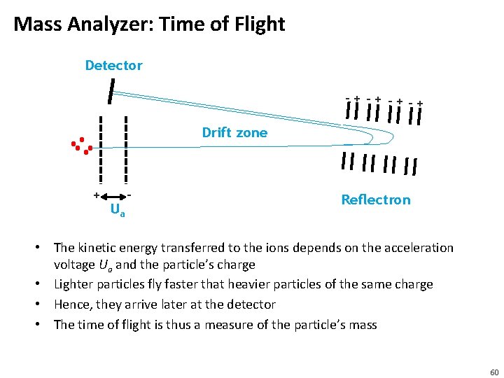 Mass Analyzer: Time of Flight Detector -+ -+ -+-+ Drift zone + Ua -