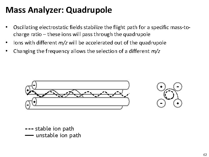 Mass Analyzer: Quadrupole • Oscillating electrostatic fields stabilize the flight path for a specific