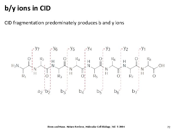 b/y ions in CID fragmentation predominately produces b and y ions Steen and Mann.