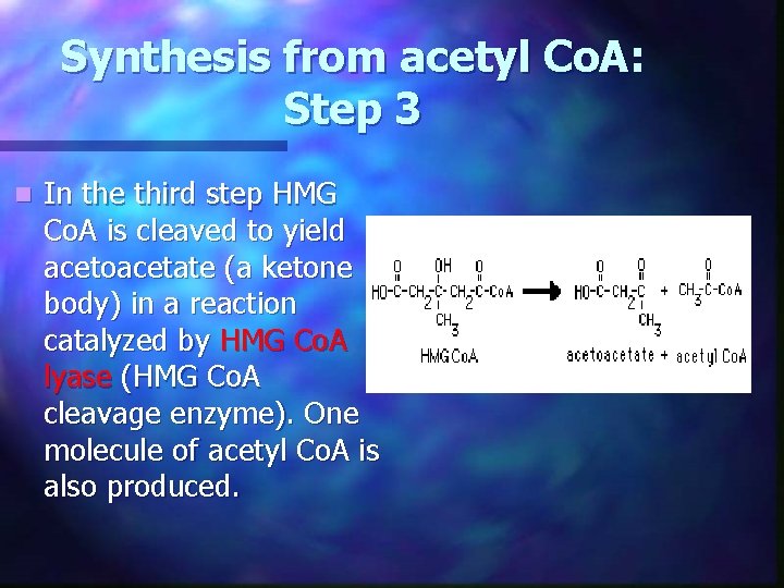 Synthesis from acetyl Co. A: Step 3 n In the third step HMG Co.