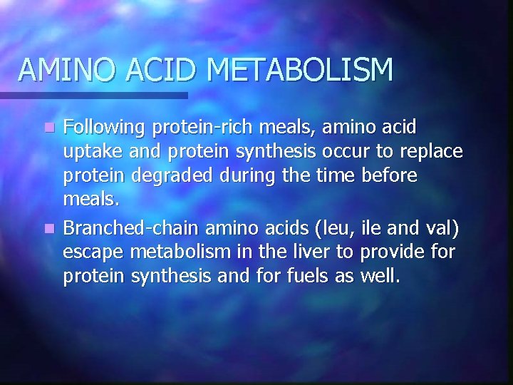 AMINO ACID METABOLISM Following protein-rich meals, amino acid uptake and protein synthesis occur to