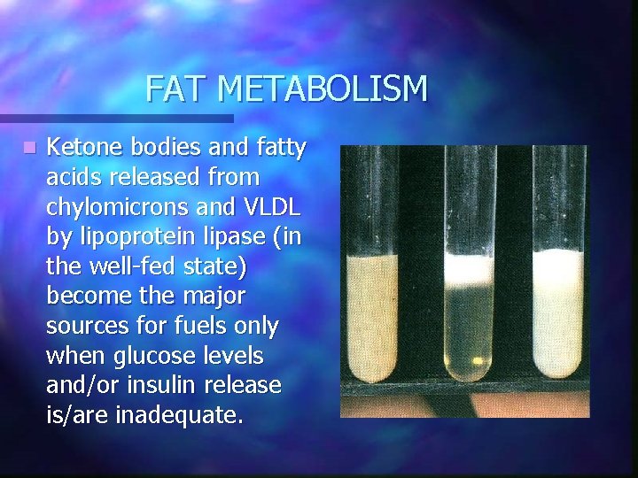 FAT METABOLISM n Ketone bodies and fatty acids released from chylomicrons and VLDL by
