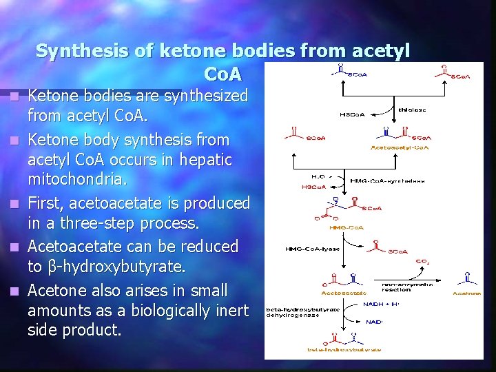 Synthesis of ketone bodies from acetyl Co. A n n n Ketone bodies are