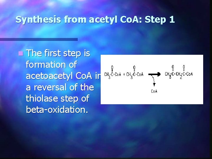 Synthesis from acetyl Co. A: Step 1 n The first step is formation of