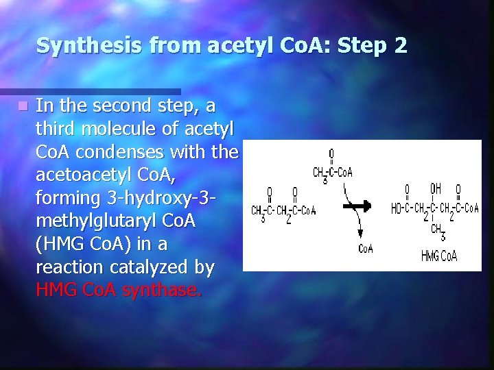 Synthesis from acetyl Co. A: Step 2 n In the second step, a third