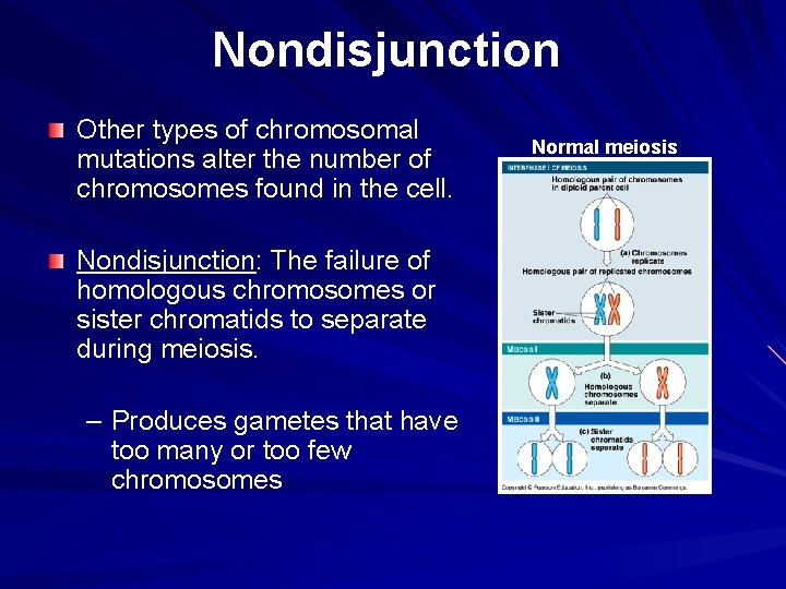 Nondisjunction Other types of chromosomal mutations alter the number of chromosomes found in the