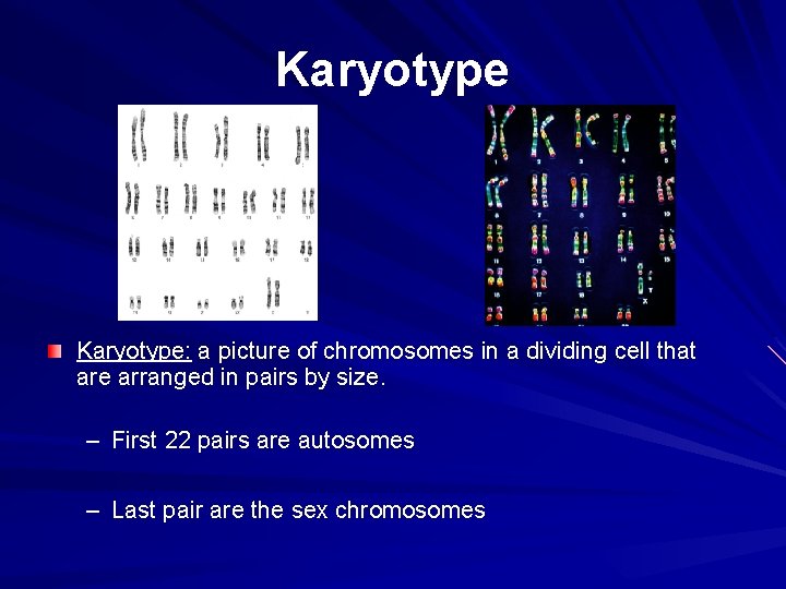 Karyotype: a picture of chromosomes in a dividing cell that are arranged in pairs