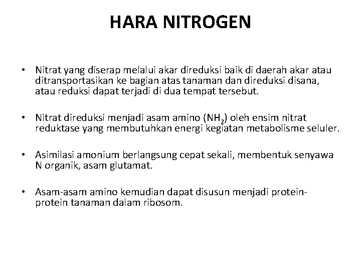 HARA NITROGEN • Nitrat yang diserap melalui akar direduksi baik di daerah akar atau