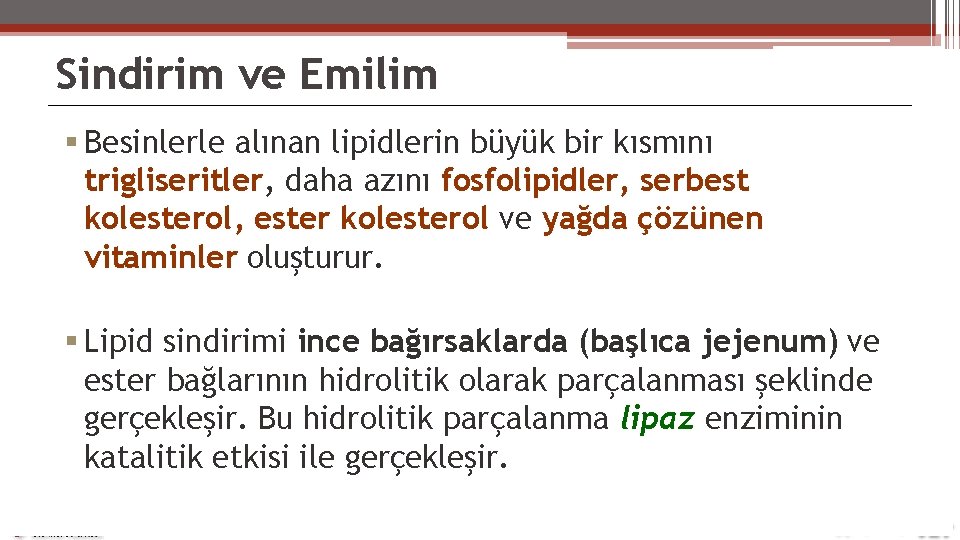 Sindirim ve Emilim Besinlerle alınan lipidlerin büyük bir kısmını trigliseritler, daha azını fosfolipidler, serbest