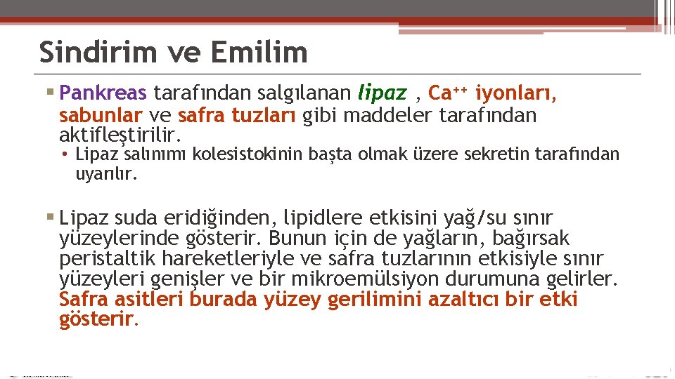 Sindirim ve Emilim Pankreas tarafından salgılanan lipaz , Ca++ iyonları, sabunlar ve safra tuzları